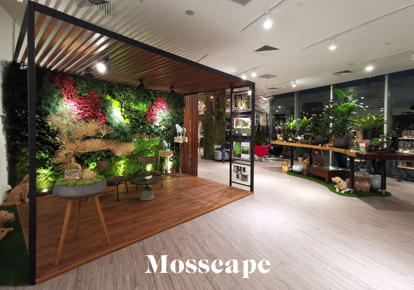 mosscape-singapour-missions-mmm